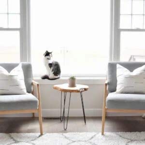 Auro İskandinav Berjer